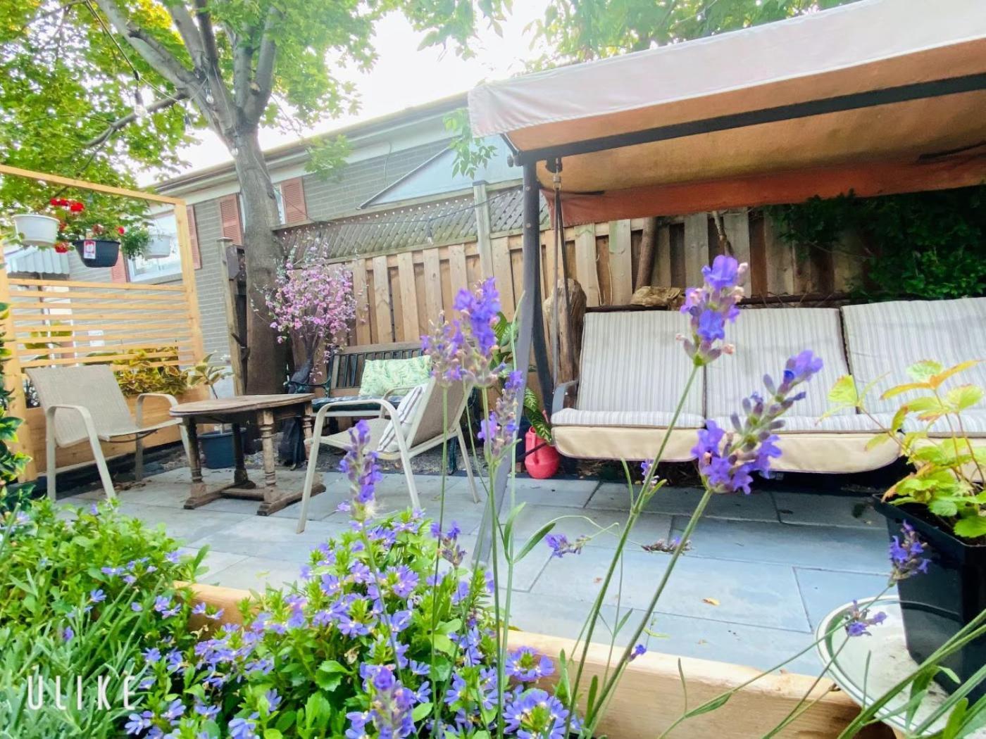 Toronto Bed & Breakfast - Free Parking 外观 照片