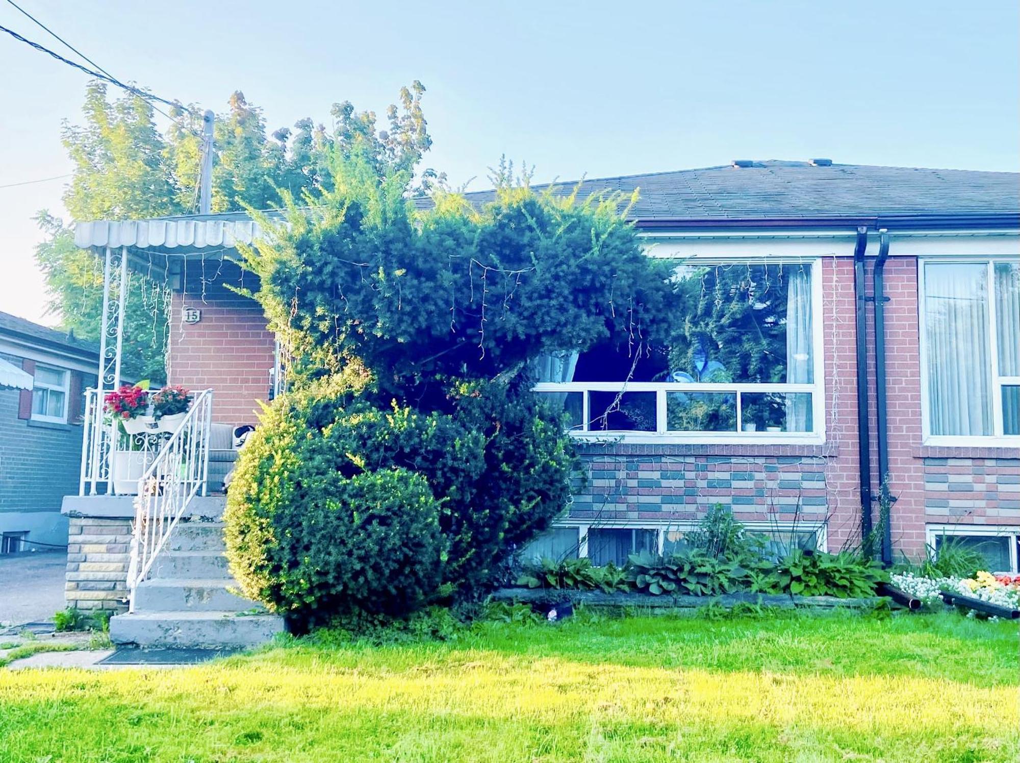 Toronto Bed & Breakfast - Free Parking 外观 照片